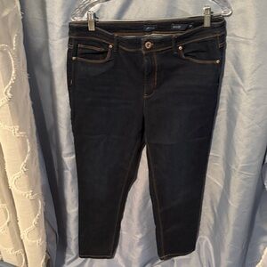 J. Jill Midnight Blue Ankle Jeans